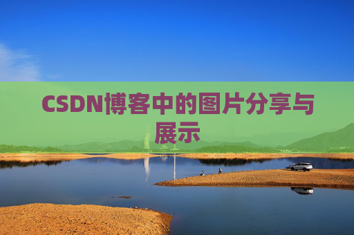 CSDN博客中的图片分享与展示